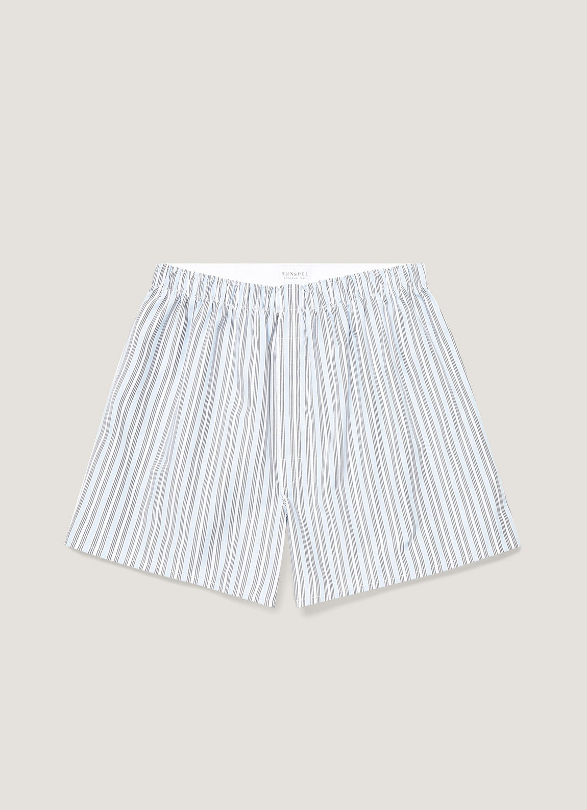 Men's Classic Boxer Short in Blue Stripe